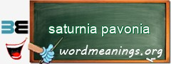 WordMeaning blackboard for saturnia pavonia